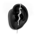 Coiled Snake