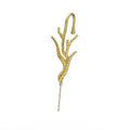 Wild Branch