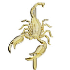 Furchtloser Skorpion