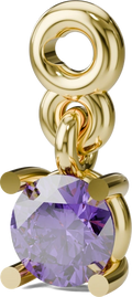 February Birthstone Charm in Gold
