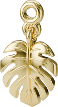 Monstera Leaf Charm in Gold