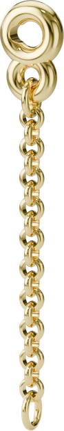 Fine Chain Charm in Gold