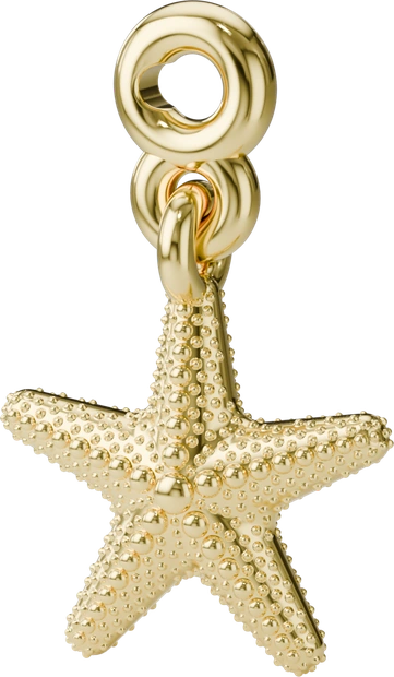 Starfish Charm in Gold